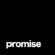 Promise Group logo